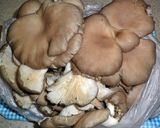 山里のかほり♪平茸の旨煮作り方1写真