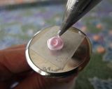 簡単絞り出しバラの花・アイシングクッキー作り方11写真