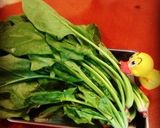 ほうれん草ナムル♪作り方1写真