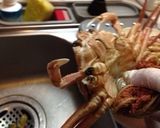 コッペ(ズワイガニのめす)のさばき方作り方1写真