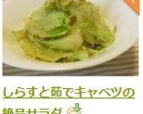 しらすと茹でキャベツの絶品サラダ作り方5写真