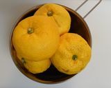 【保存用】柚子の塩漬け作り方1写真