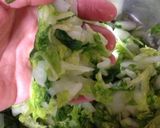 簡単白菜一夜漬け作り方5写真