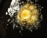 にんにく爆弾 (素揚げ)作り方9写真