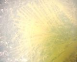 簡単☆塩昆布パスタ作り方1写真