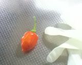 激辛ペペロンチーノ作り方2写真