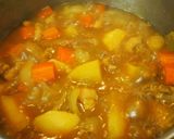 簡単♪旨い！鶏肉で☆肉じゃが☆カレー風味作り方9写真