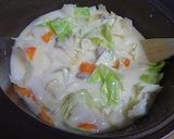 簡単　豚肉と野菜のクリームシチュー作り方5写真