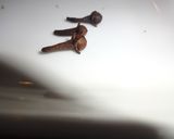 ブーケガルニ（香草束）の作り方♡作り方5写真