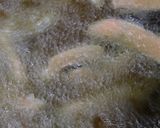 鮭葱作り方7写真