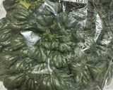 タアサイとザーサイ(身内専用)作り方1写真