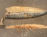 青森風サバの押し寿司作り方1写真