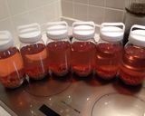 ざくろ酒（ザクロ酒）作り方6写真