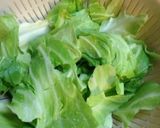 手羽先コラーゲンスープ♪♪作り方1写真