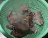 ぶり大根作り方7写真
