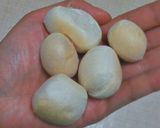 お麸入りチキンミートボール作り方5写真