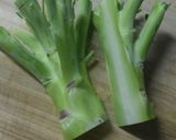 ブロッコリーの茎でごま和え とても簡単よ作り方1写真