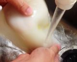 イカワタバター/するめいかのさばき方付き作り方12写真