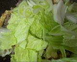 麻婆味の 白菜&厚揚げ～丼にも合います♪作り方6写真
