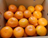 箱買い♬みかんの保存方法作り方3写真