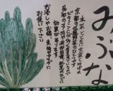 みぶ菜のパスタ作り方5写真