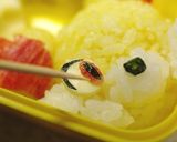 フォッコの立体おにぎりポケモンキャラ弁当作り方7写真