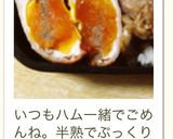 お弁当に♪二つ折り目玉焼き作り方11写真
