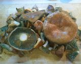 スペインの秋の味　ニスカロスご飯作り方1写真