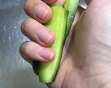 材料4つ♥韓国オイキムチ作り方2写真