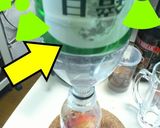 林檎酒。（ｐｅｔタイプ）作り方2写真