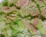 白菜と厚揚げの煮物作り方4写真