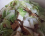 白菜と厚揚げの煮物作り方5写真