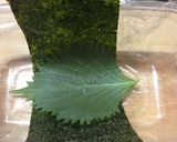 祝‼和食世界遺産 ♡和なスパムむすび作り方6写真