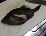 マグロ漁師さんの簡単ハゲさばき方から刺身作り方1写真