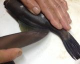 マグロ漁師さんの簡単ハゲさばき方から刺身作り方8写真
