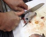 マグロ漁師さんの簡単ハゲさばき方から刺身作り方20写真