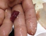 マグロ漁師さんの簡単ハゲさばき方から刺身作り方22写真
