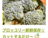 ブロッコリー新鮮保存☆カットするだけ〜作り方5写真