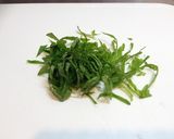 焼き鳥缶で簡単・本格♪照りたま丼♪作り方7写真