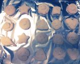 お手軽ノンエッグクッキー作り方7写真