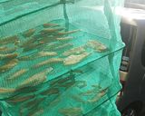 甘い干し芋です作り方5写真