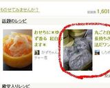 丸ごと白菜の長持ちさせる方法だワン作り方4写真