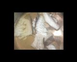 >◎)真鯛)彡　簡単！鯛の潮汁作り方1写真