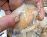 マグロ漁師さんの超簡単ホタテさばき方作り方4写真