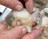 マグロ漁師さんの超簡単ホタテさばき方作り方5写真