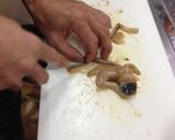 マグロ漁師さんの超簡単ホタテさばき方作り方13写真