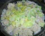 簡単☆白菜と鶏肉団子のスープ作り方3写真