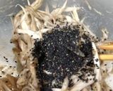 いわしのつみれ揚げ作り方2写真