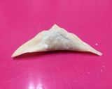 簡単手作りワンタン作り方3写真