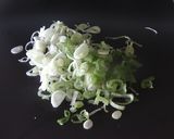 冷めてもふんわり!簡単ねぎ入だし巻き卵♬作り方1写真